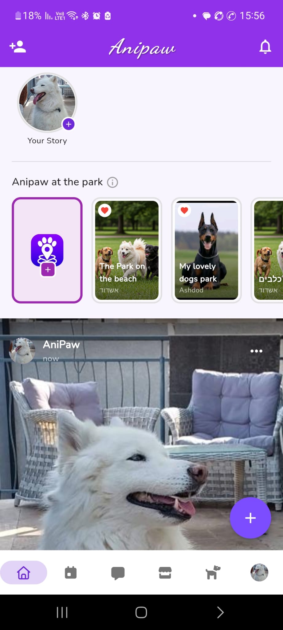 AniPaw home screen